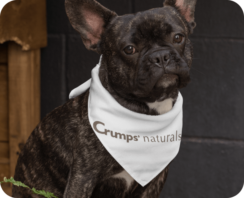 Our vision to create a more sustainable world | Crumps' Naturals