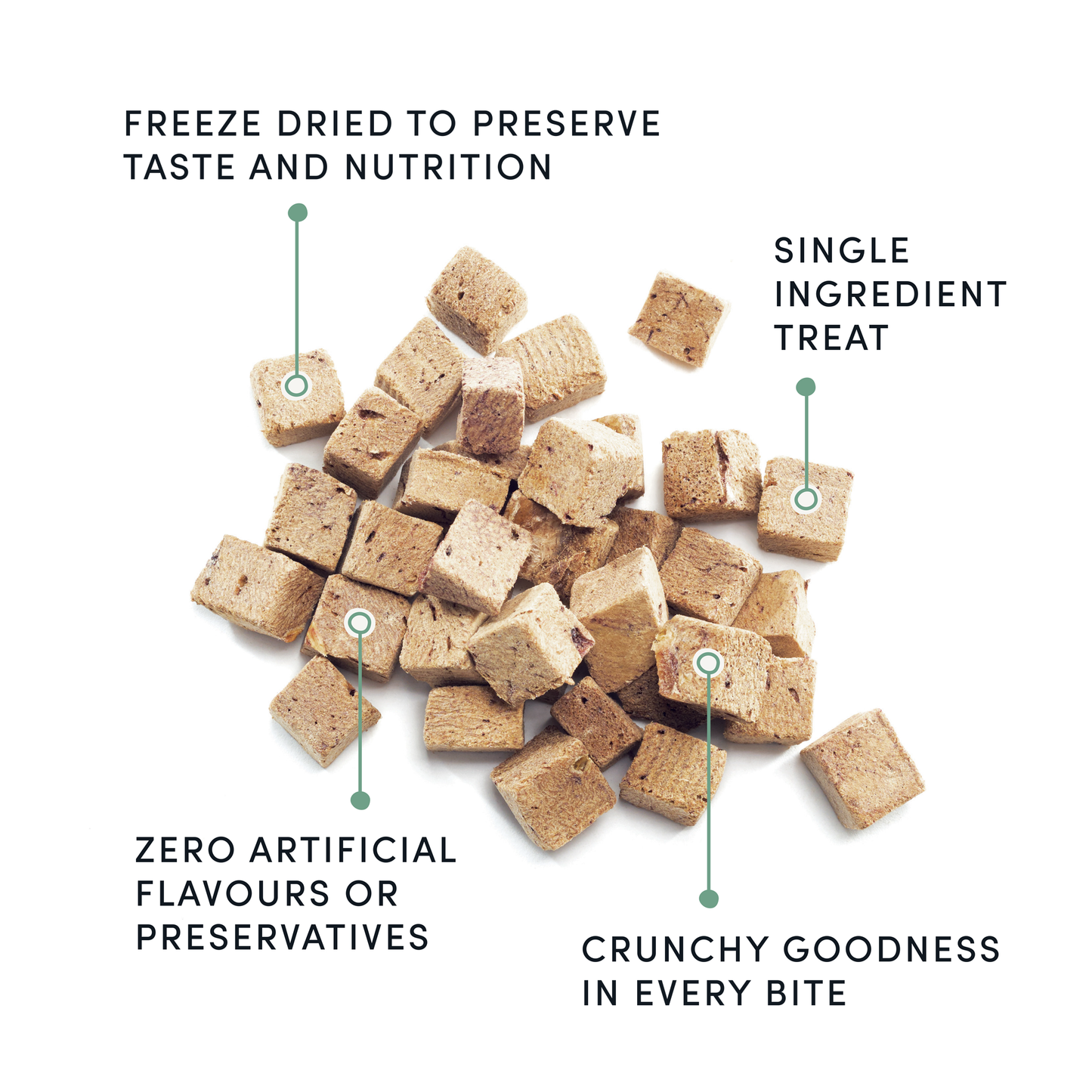 Freeze Dried Cat Treats Chicken