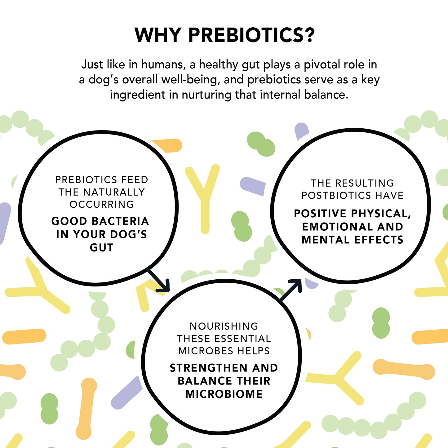Gutsy Immune Bites