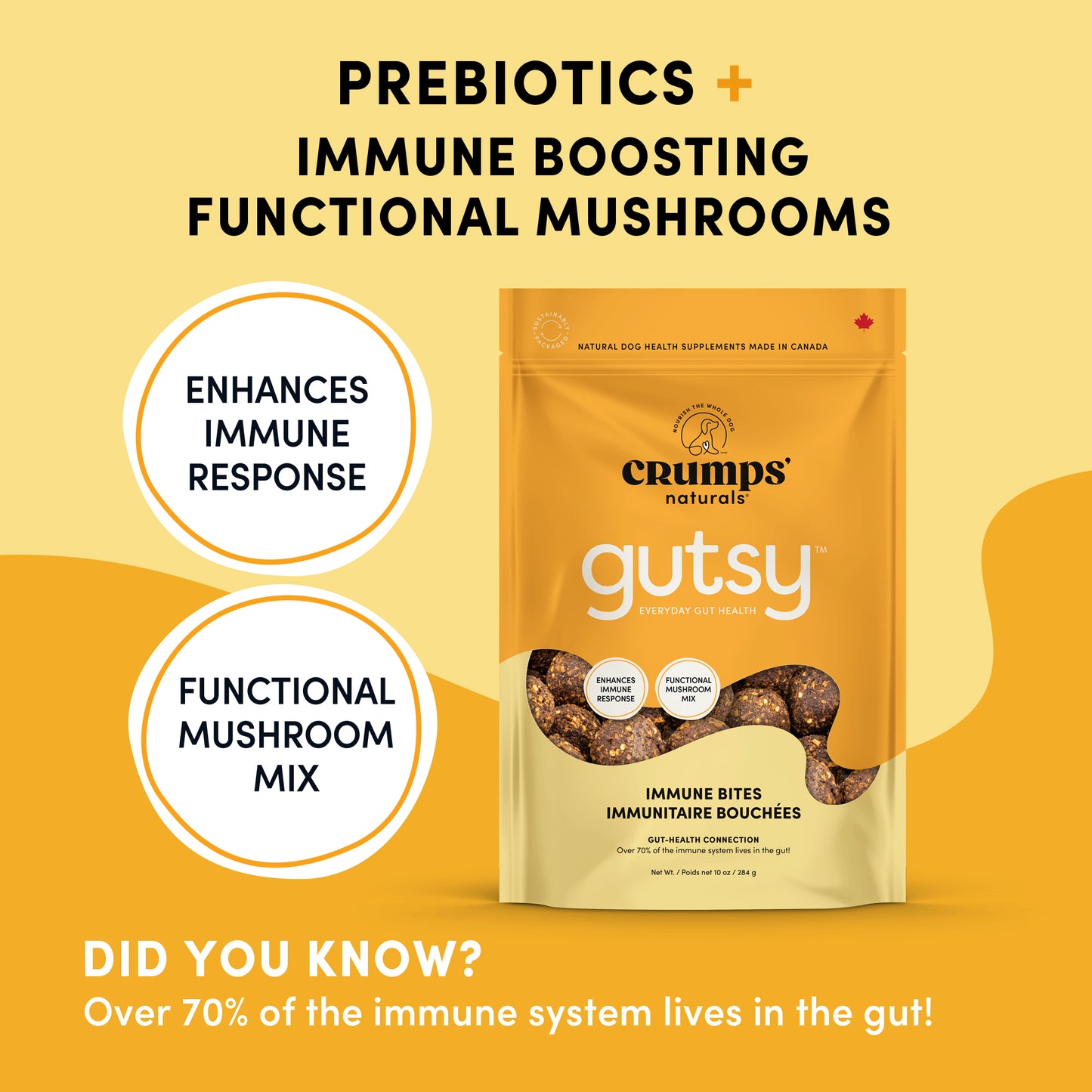 Gutsy Immune Bites
