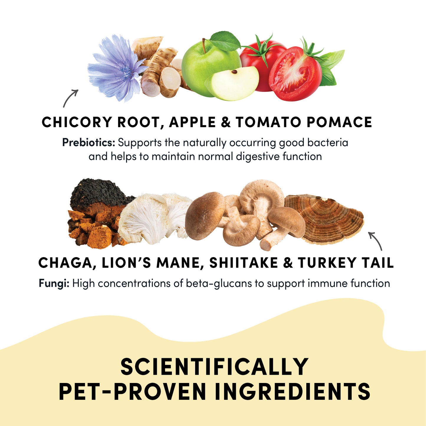 Gutsy Immune Bites