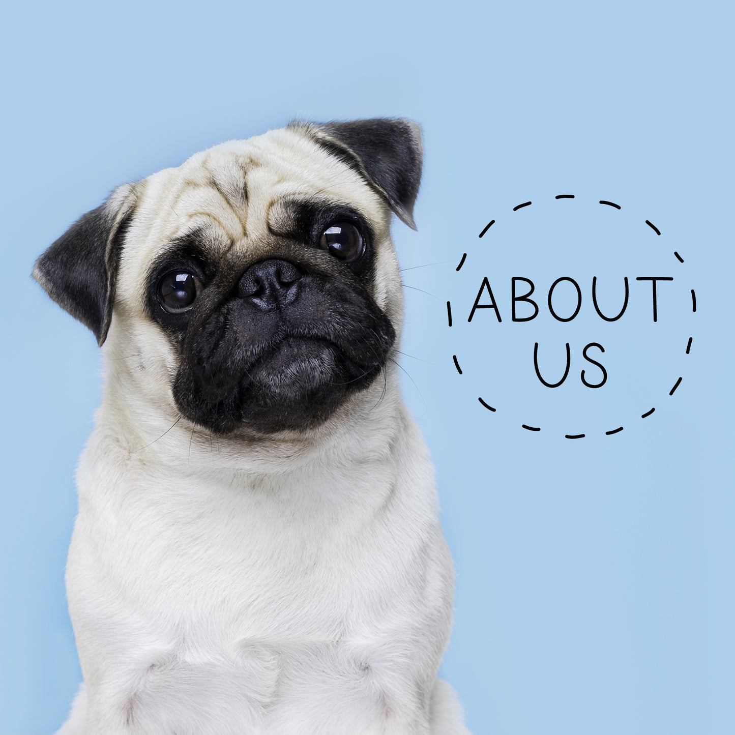 About Us