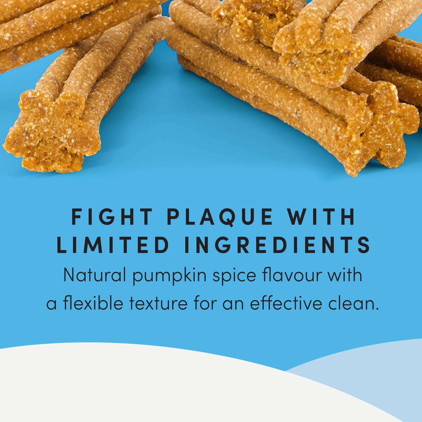 Plaque Busters Pumpkin Spice Dental Sticks