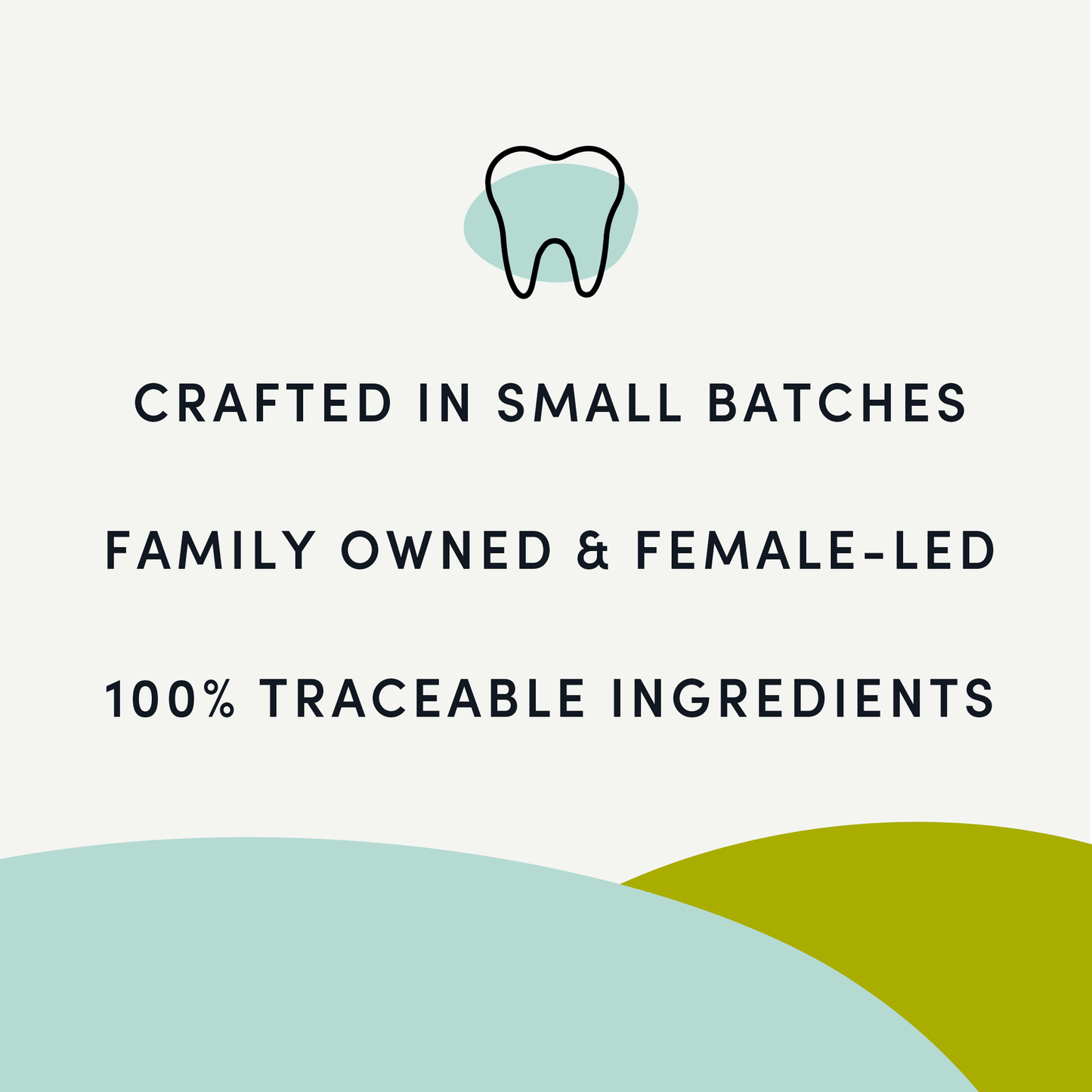 Plaque Busters Advanced Double Fresh Dental Sticks