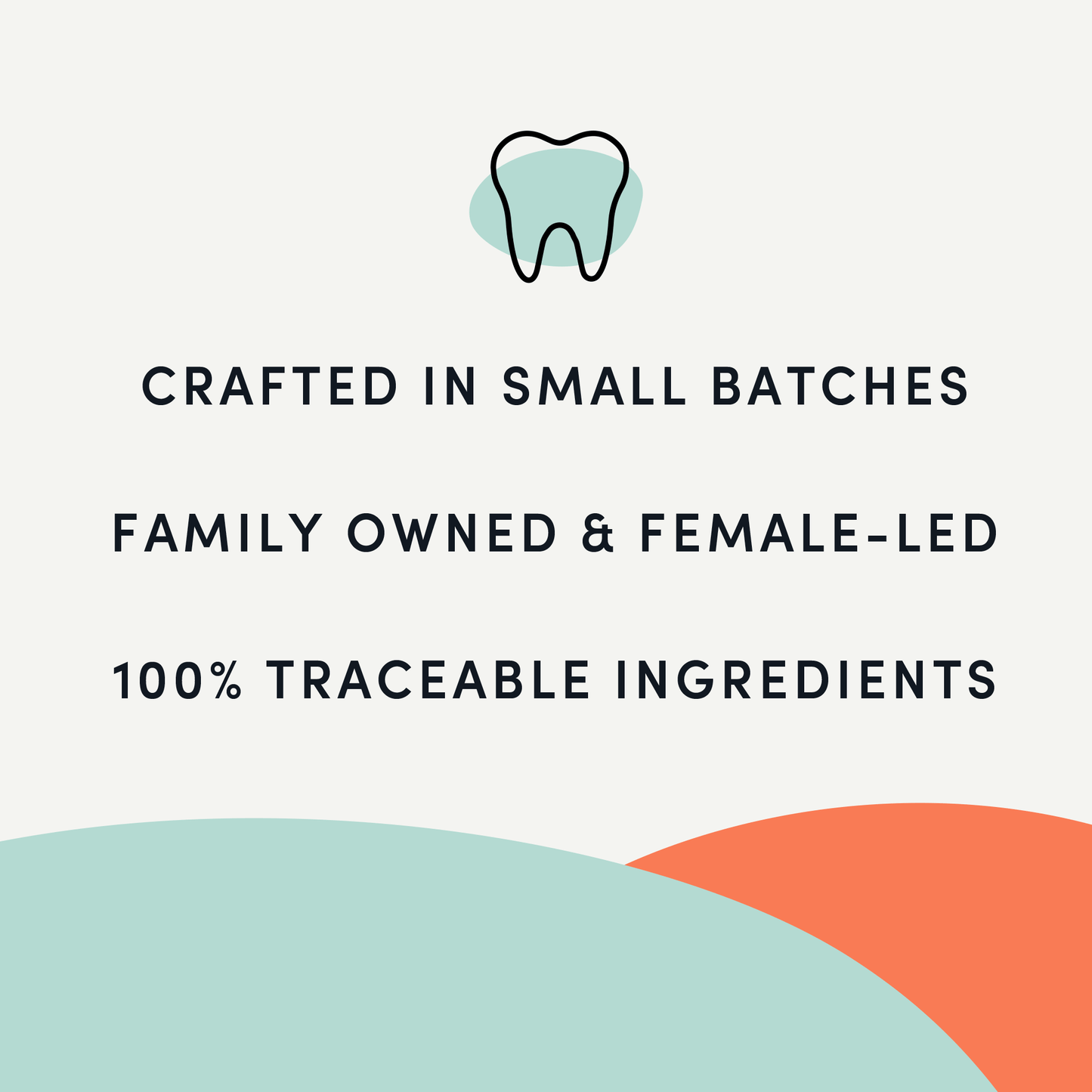 Plaque Busters Advanced Whole Mouth Dental Sticks
