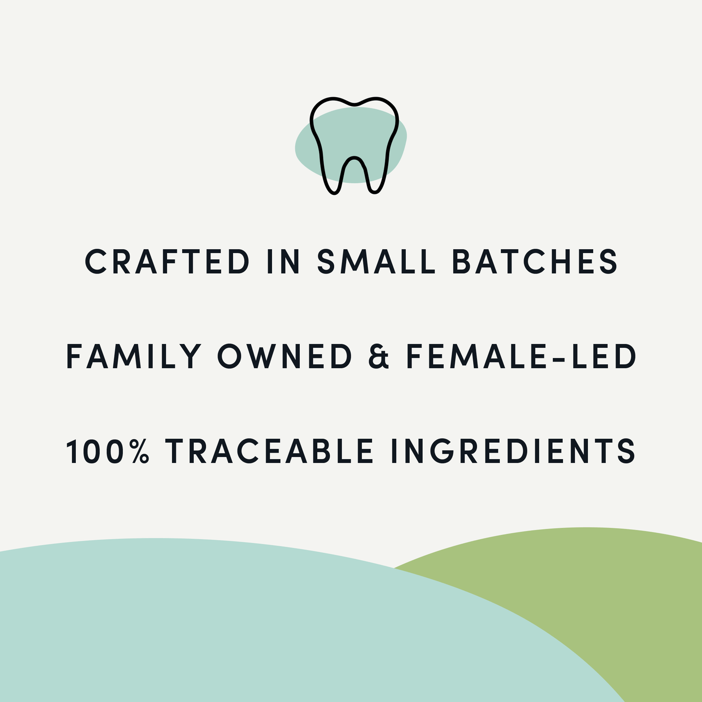 Plaque Busters Bacon Dental Sticks