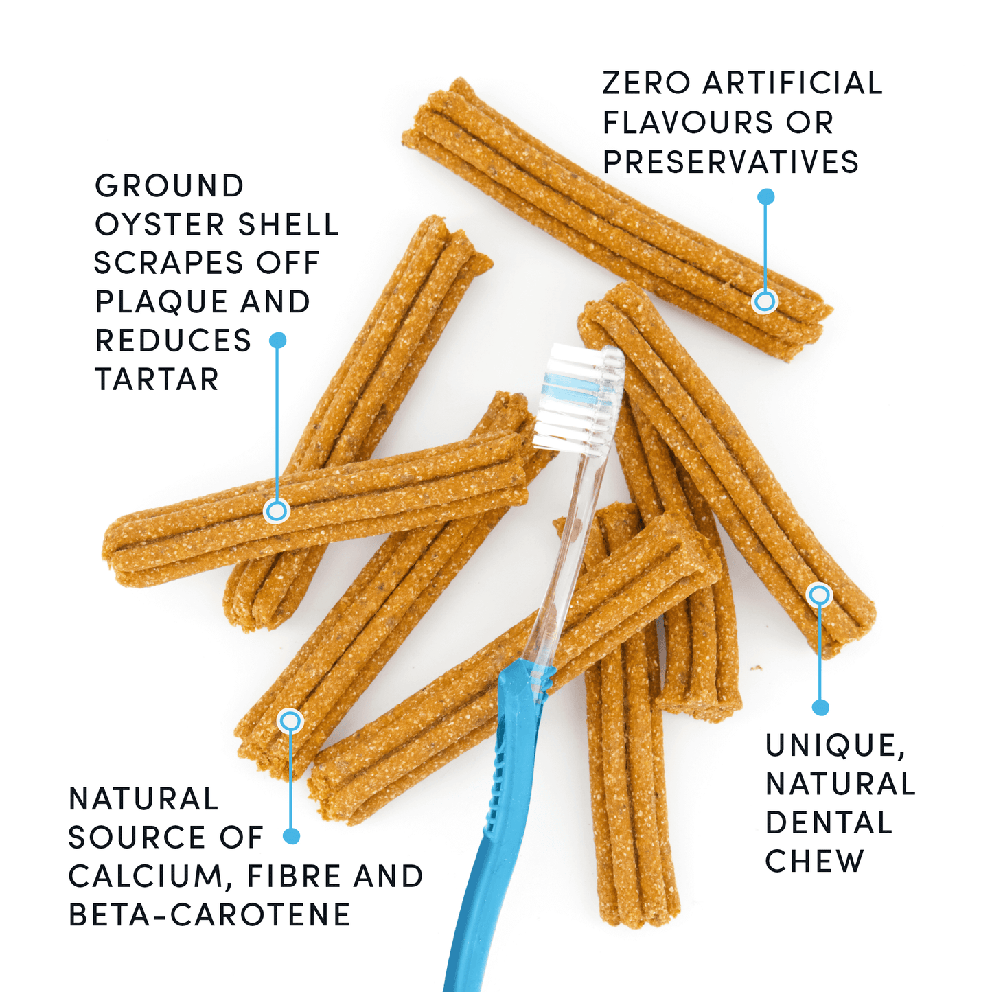 Plaque Busters Pumpkin Spice Dental Sticks