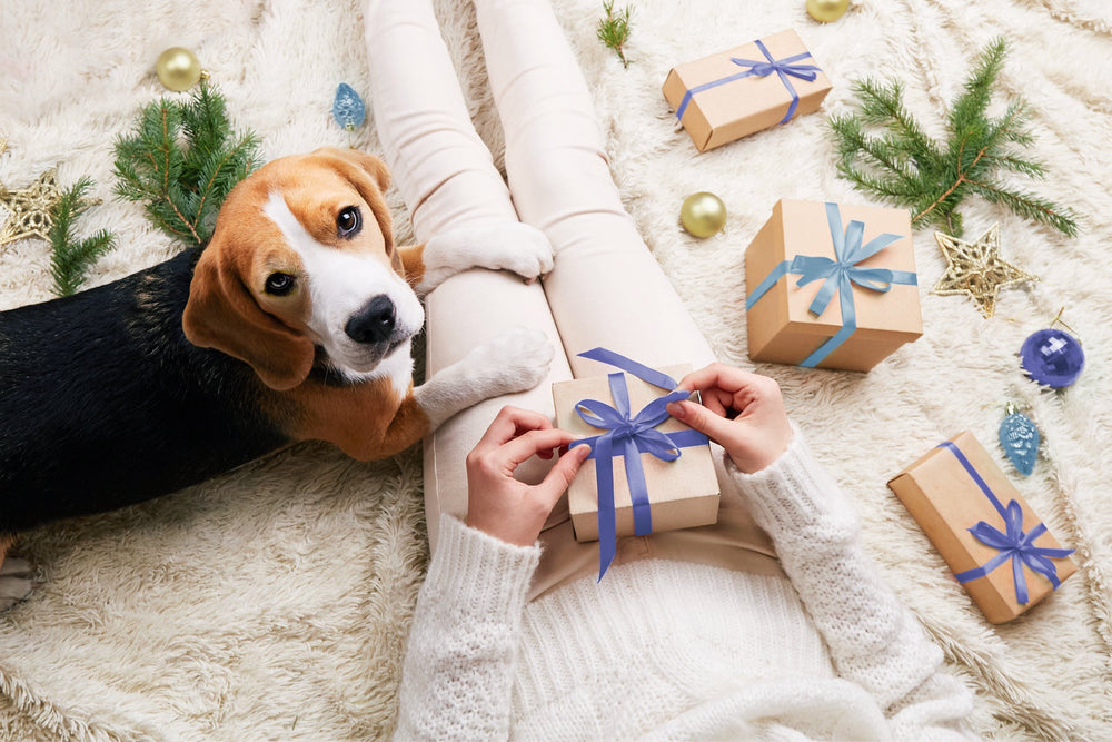 HOW TO PREPARE YOUR PETS FOR THE HOLIDAYS