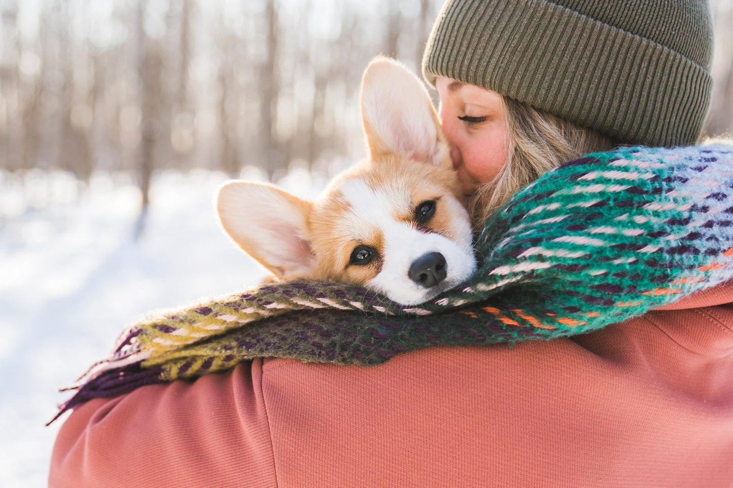 BUCKET LIST FOR DOGS: TOP 10 THINGS YOUR DOG NEEDS TO DO FOR WINTER!