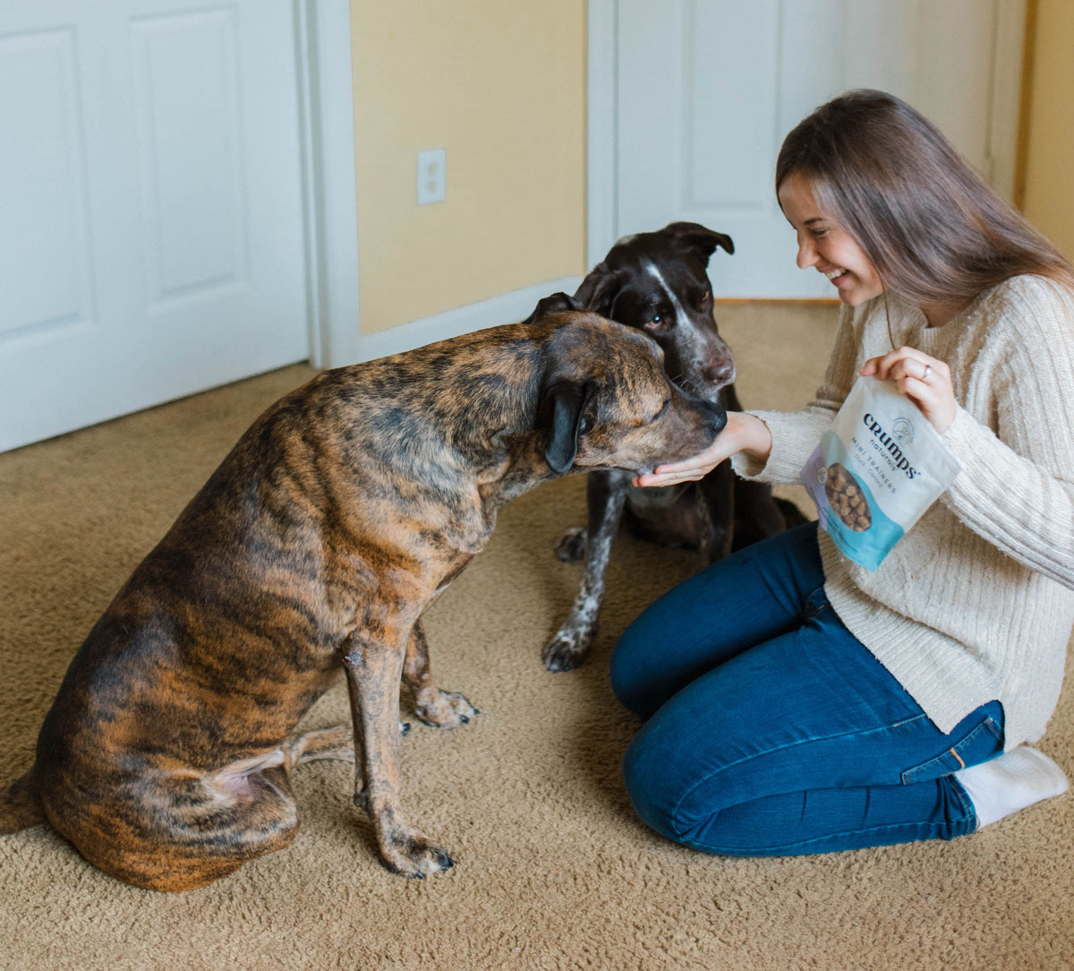 HOW TRAINING YOUR DOG CHANGES THROUGHOUT THEIR LIFE – Crumps' Naturals ...