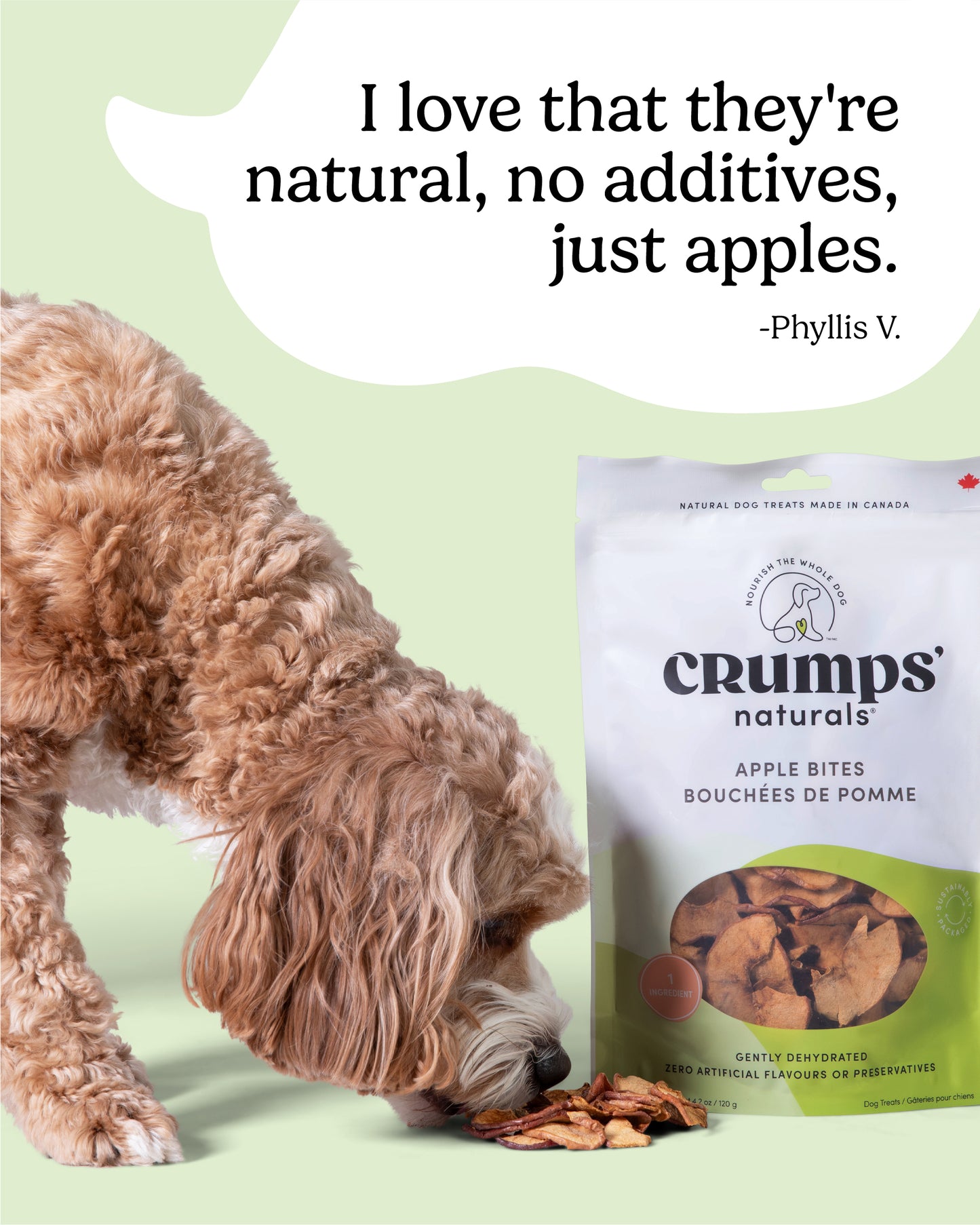 
                        
                          Apple Bites
                        
                      