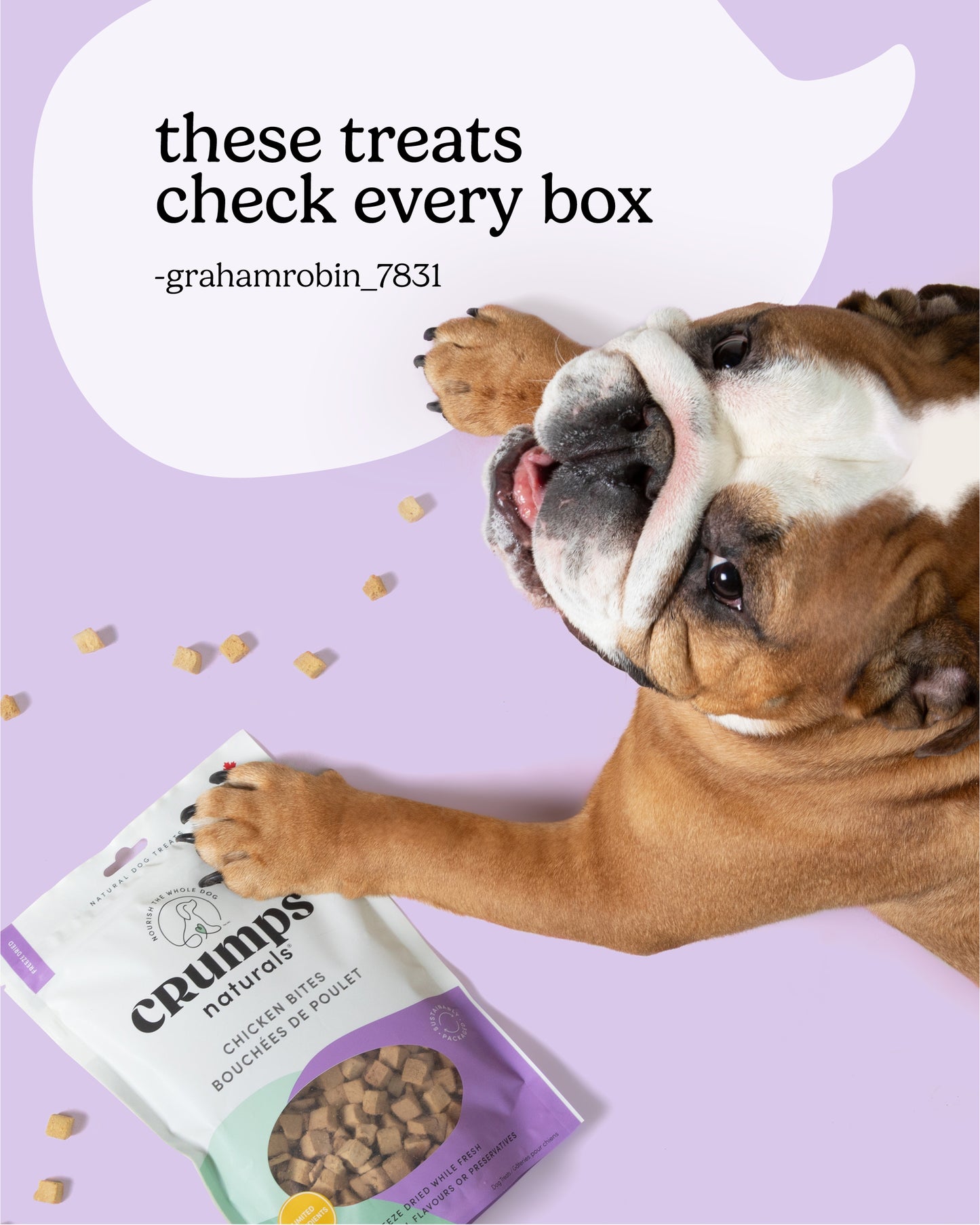 
                        
                          Chicken Bites
                        
                      