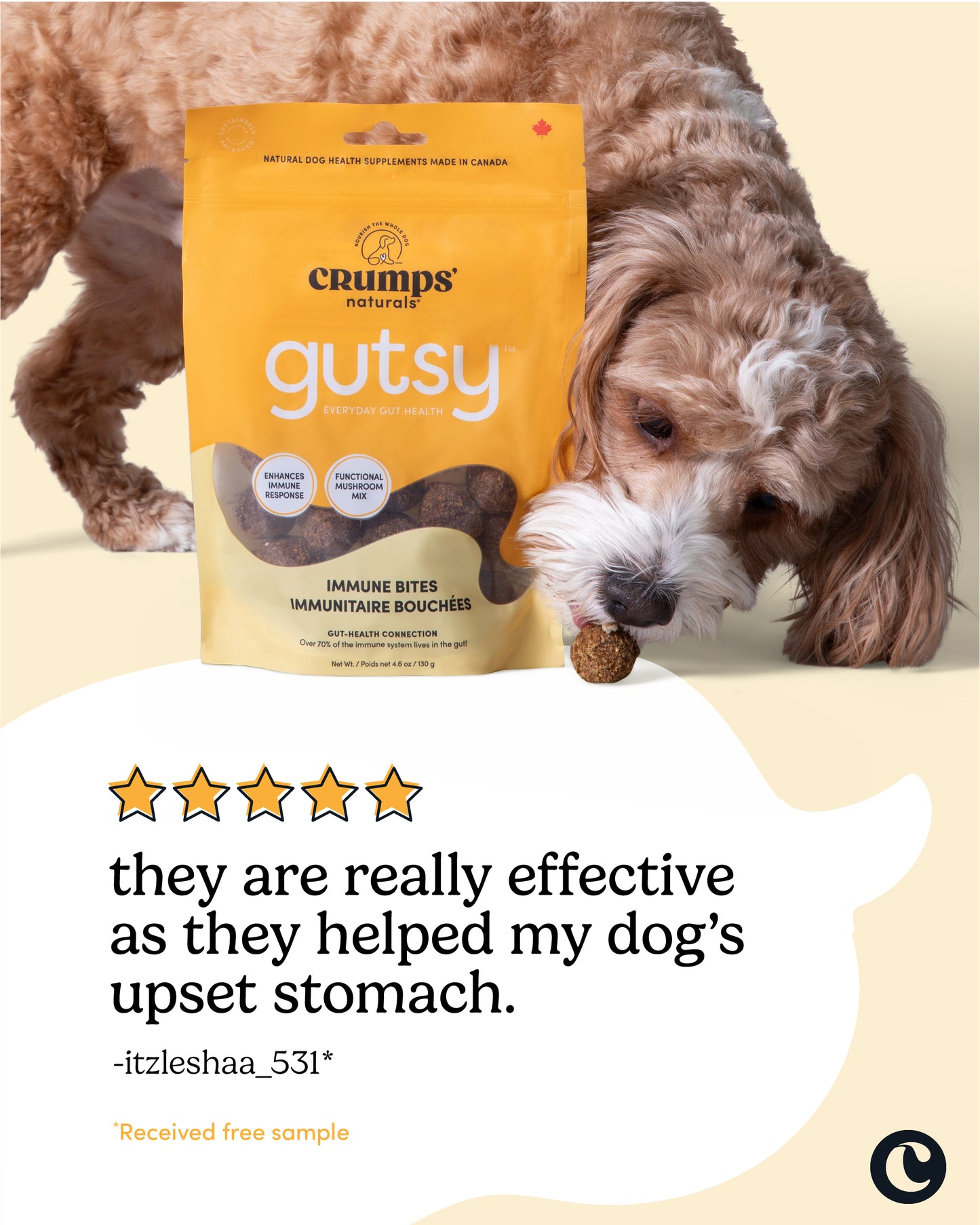 
                        
                          Gutsy Immune Bites
                        
                      