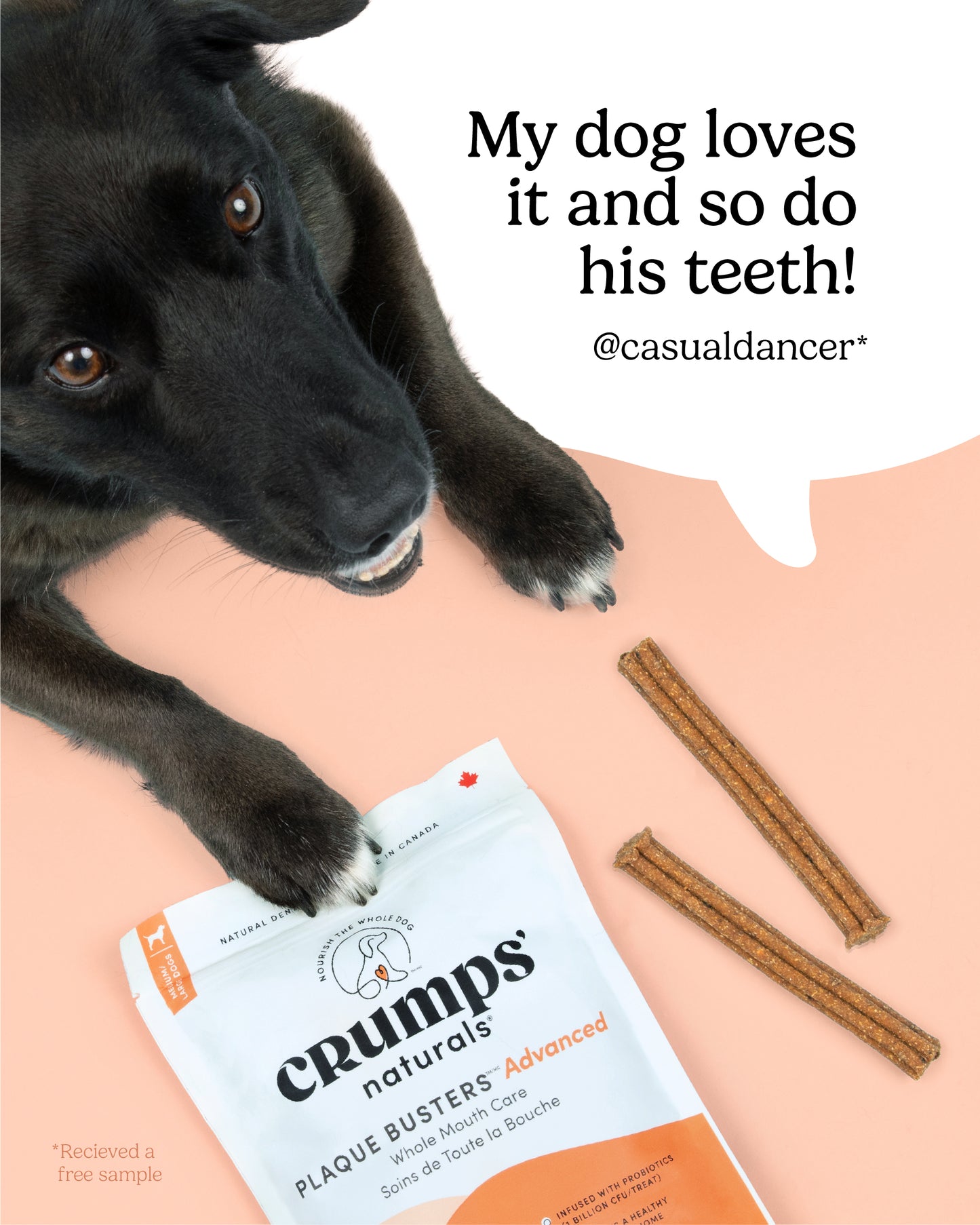 
                        
                          Plaque Busters Advanced Whole Mouth Dental Sticks
                        
                      