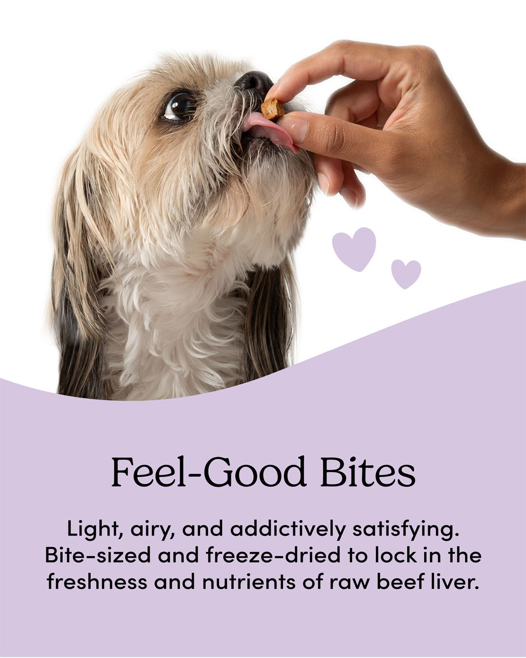 
                        
                          Beef Liver Bites
                        
                      