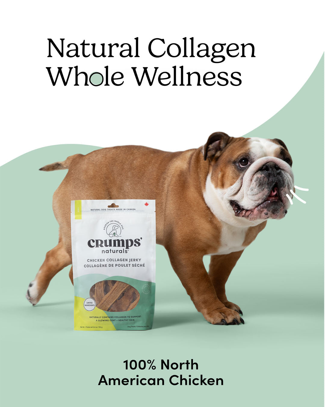 
                        
                          Chicken Collagen Jerky
                        
                      
