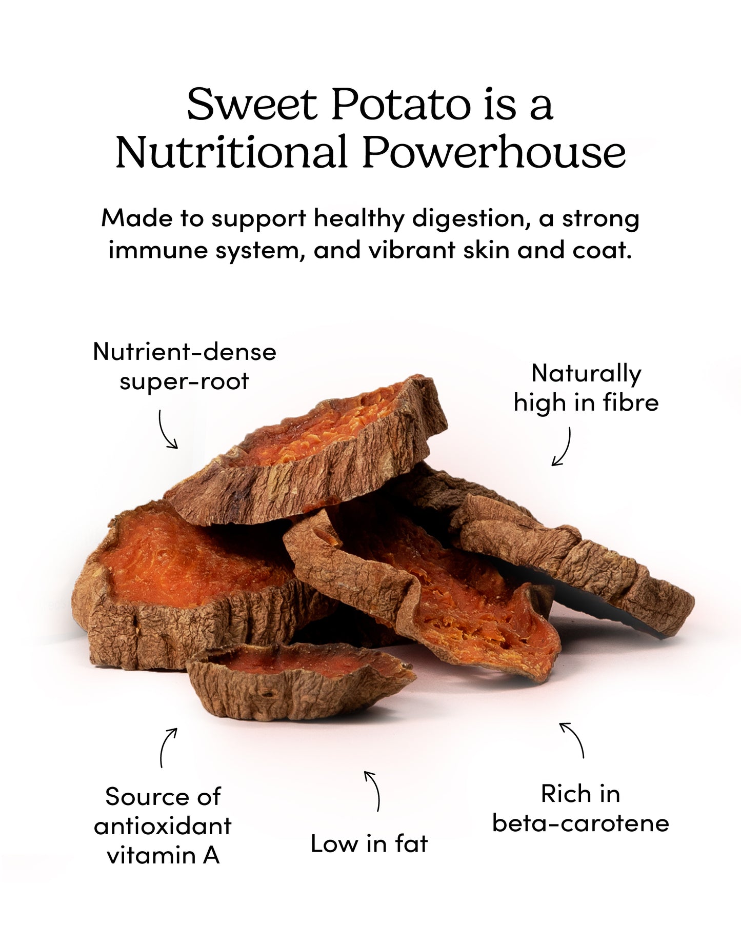 
                        
                          Sweet Potato Chews
                        
                      