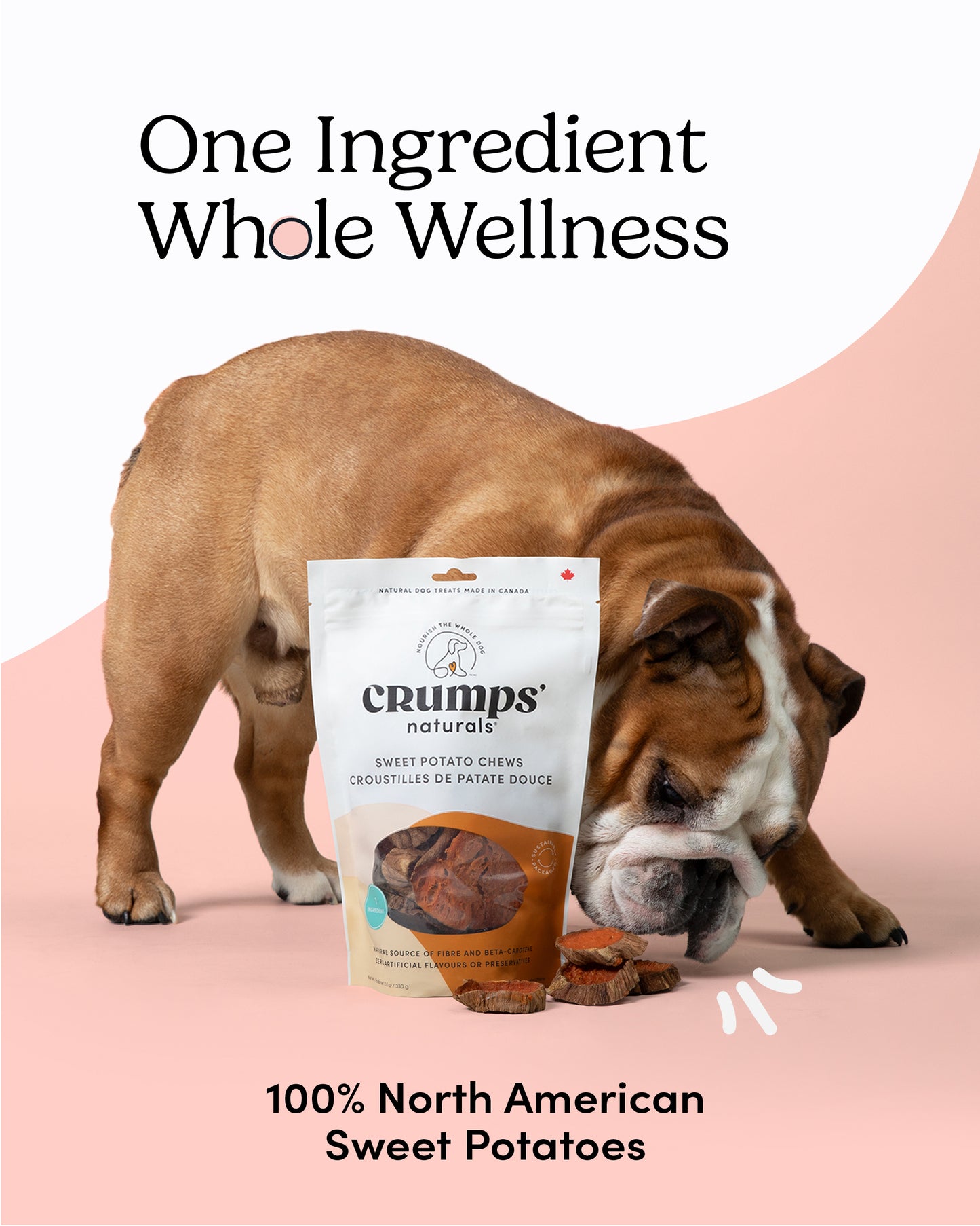 
                        
                          Sweet Potato Chews
                        
                      