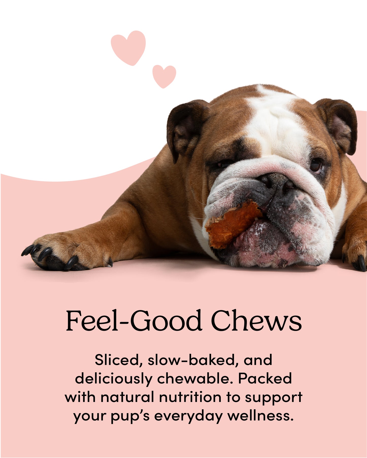 
                        
                          Sweet Potato Chews
                        
                      