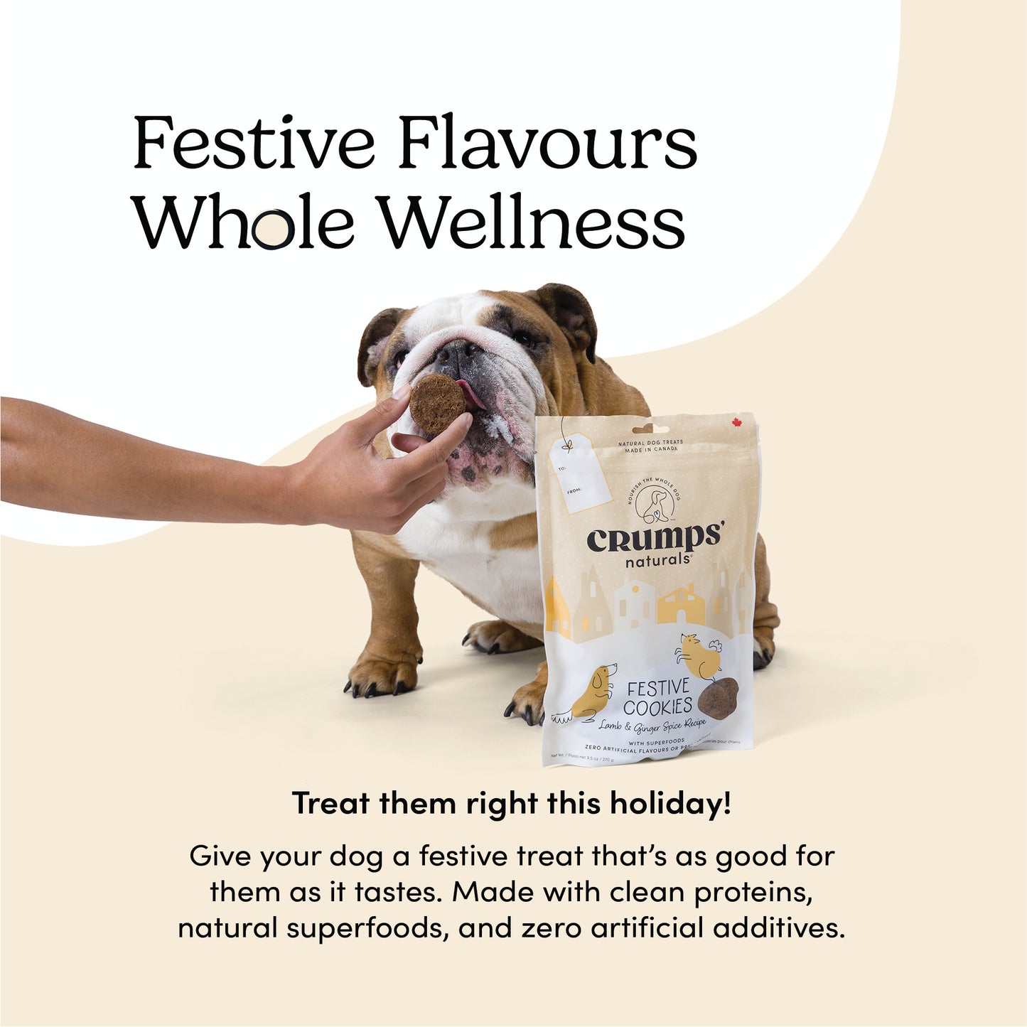 
                        
                          Festive Cookies - Lamb & Ginger Spice
                        
                      