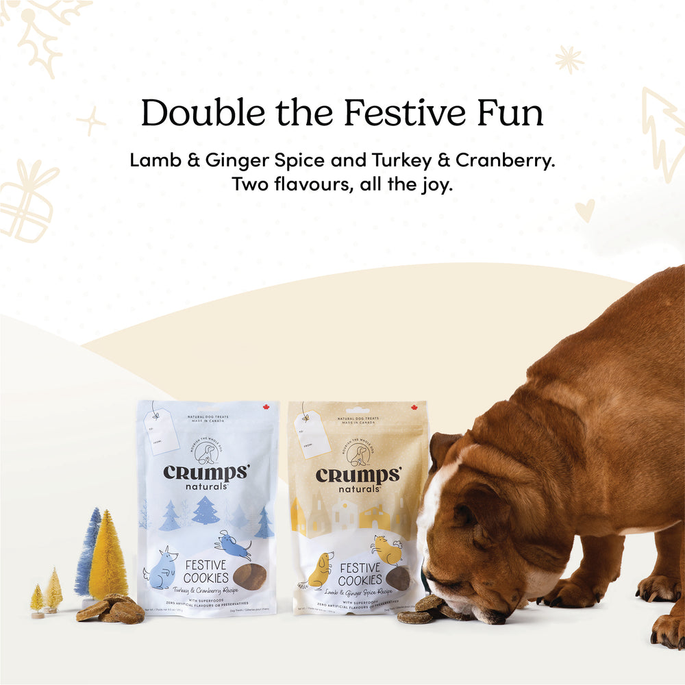 
                        
                          Festive Cookies - Lamb & Ginger Spice
                        
                      