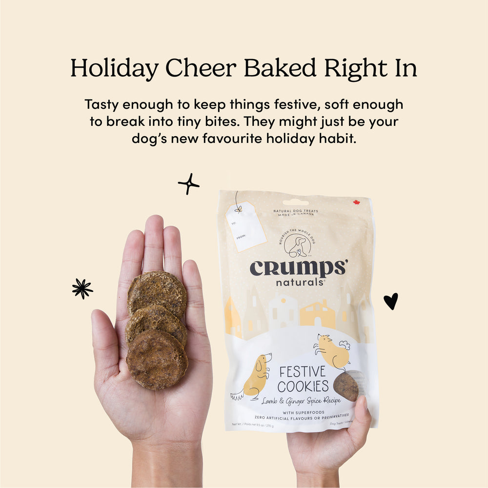 
                        
                          Festive Cookies - Lamb & Ginger Spice
                        
                      