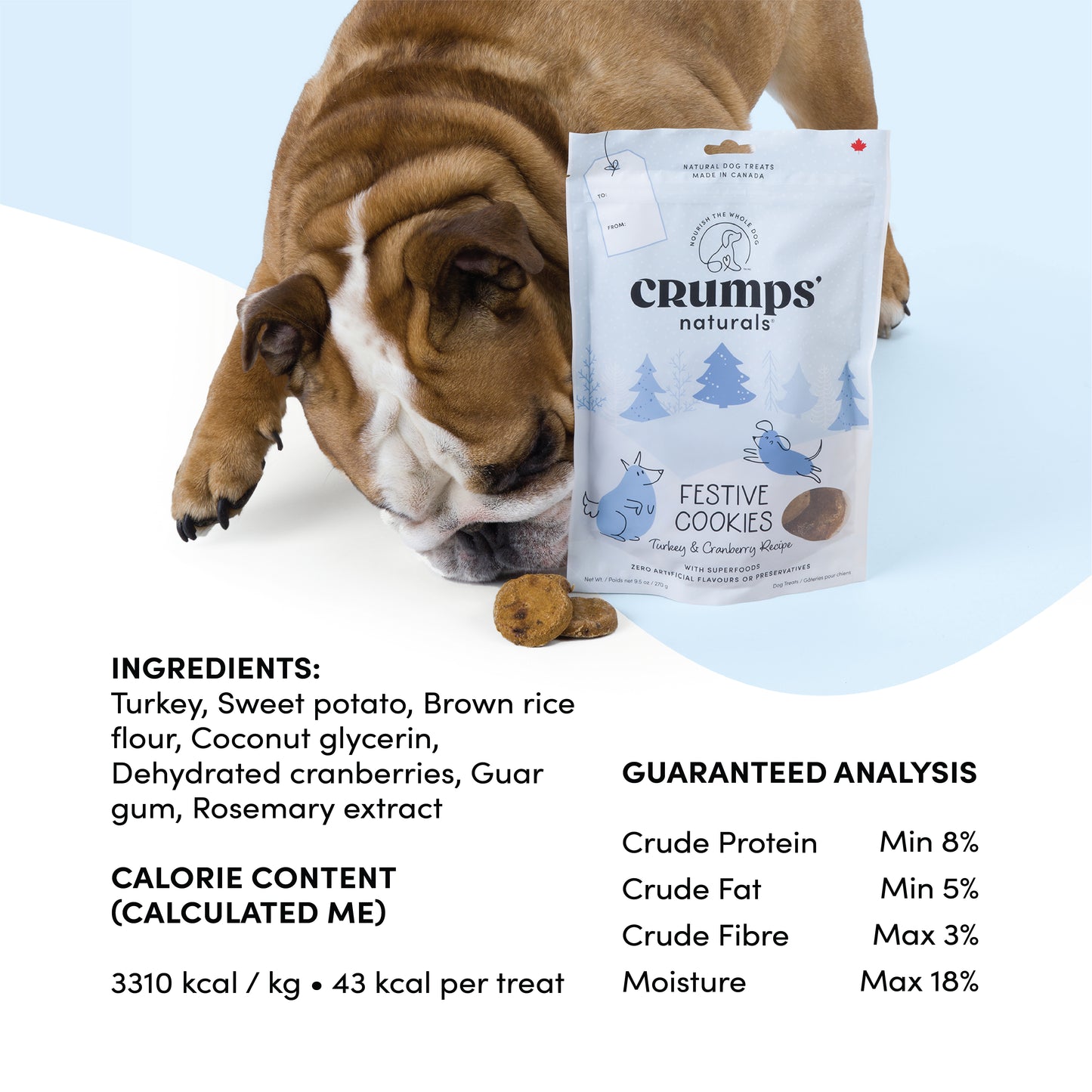 
                        
                          Festive Cookies - Turkey & Cranberry
                        
                      