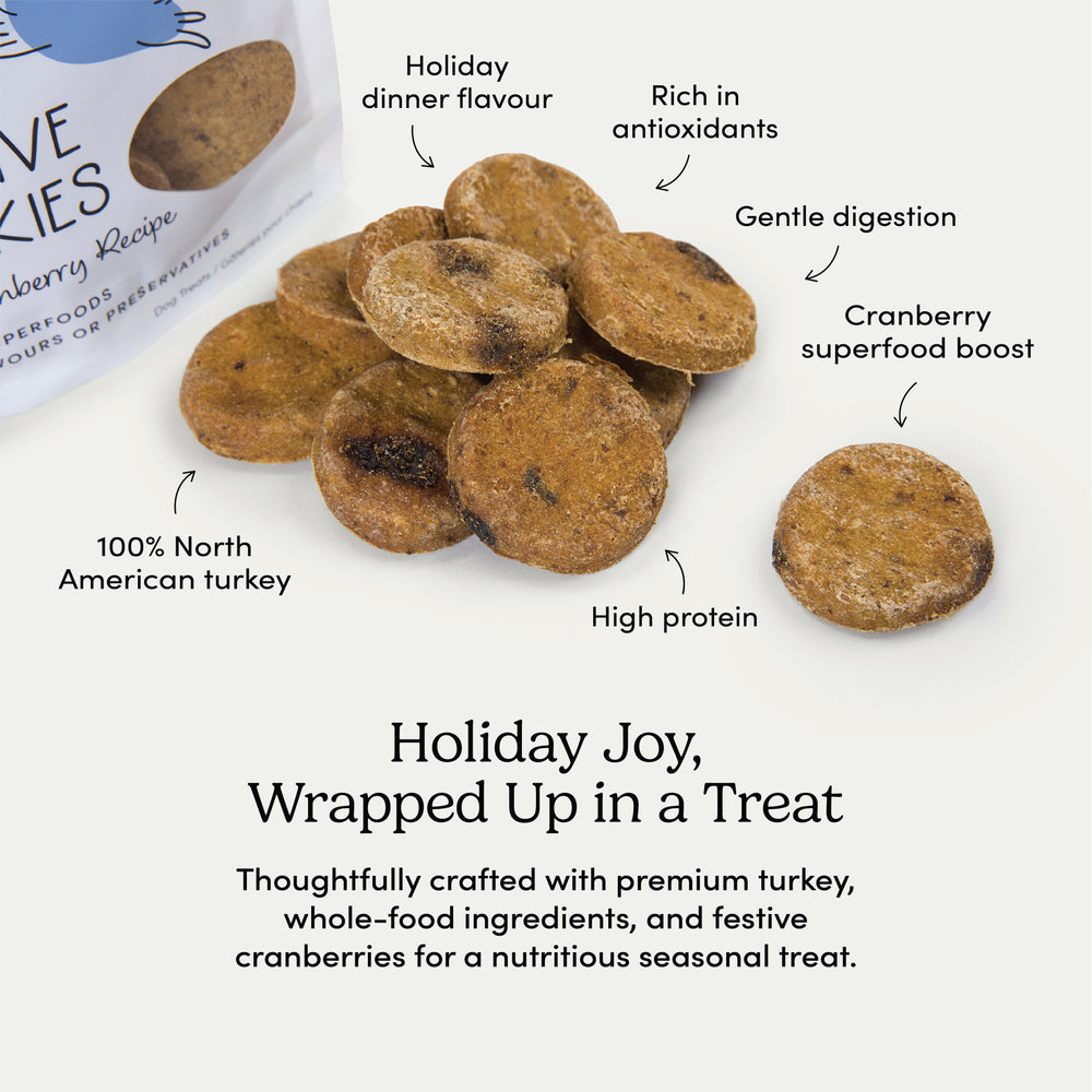 
                        
                          Festive Cookies - Turkey & Cranberry
                        
                      