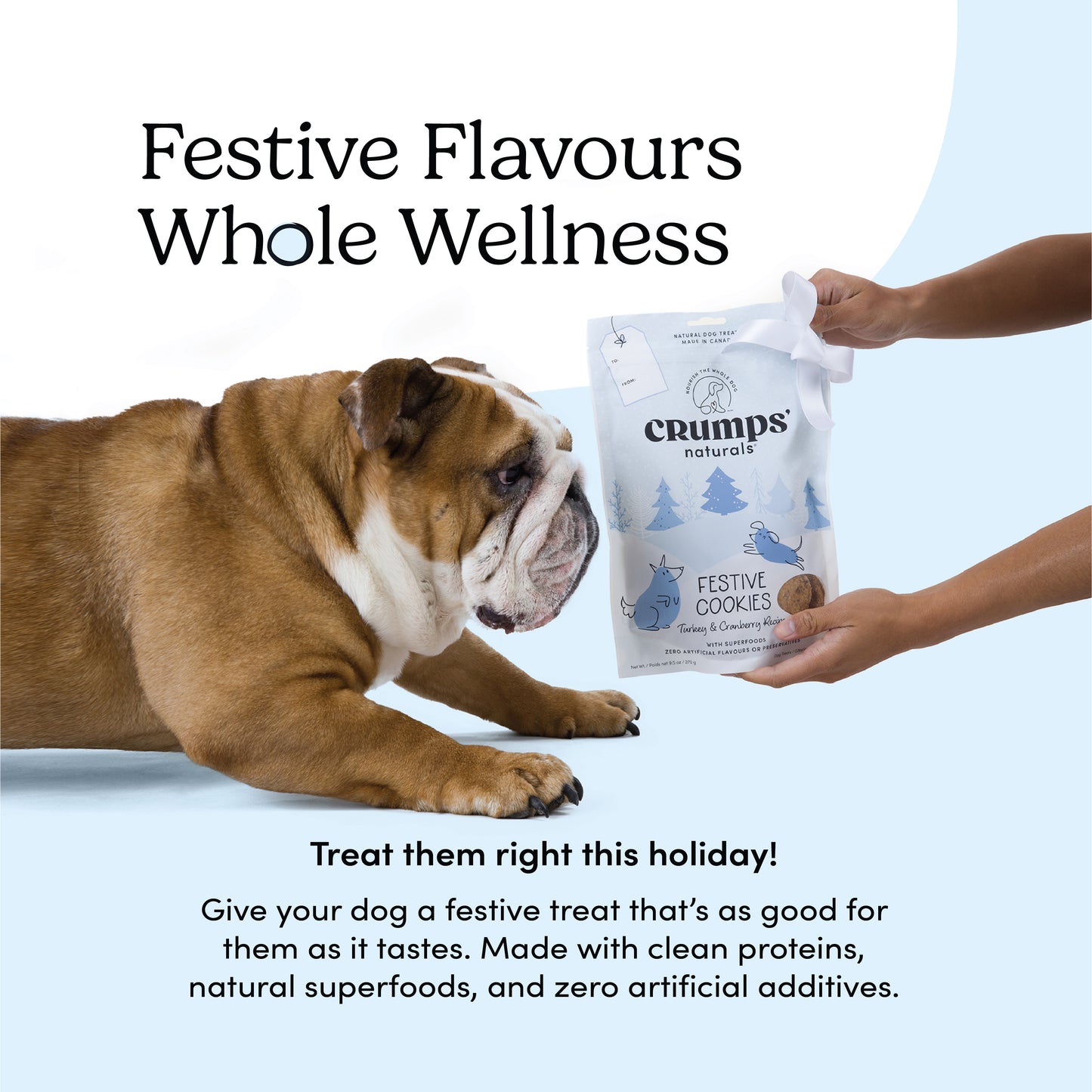 
                        
                          Festive Cookies - Turkey & Cranberry
                        
                      