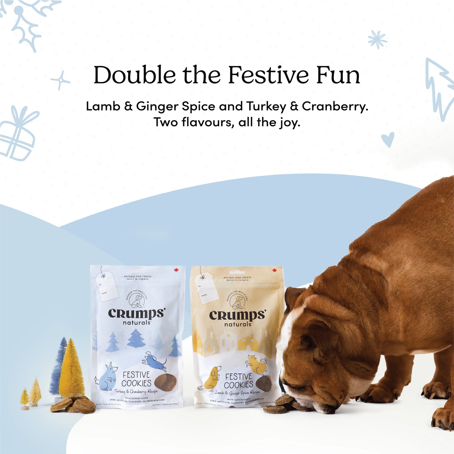 
                        
                          Festive Cookies - Turkey & Cranberry
                        
                      