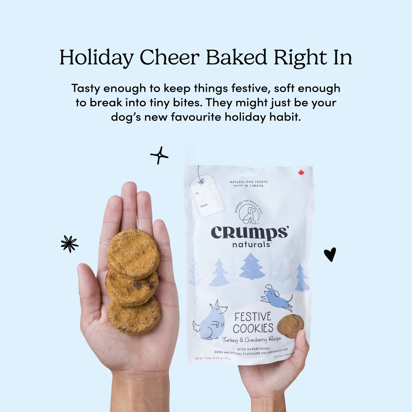 
                        
                          Festive Cookies - Turkey & Cranberry
                        
                      