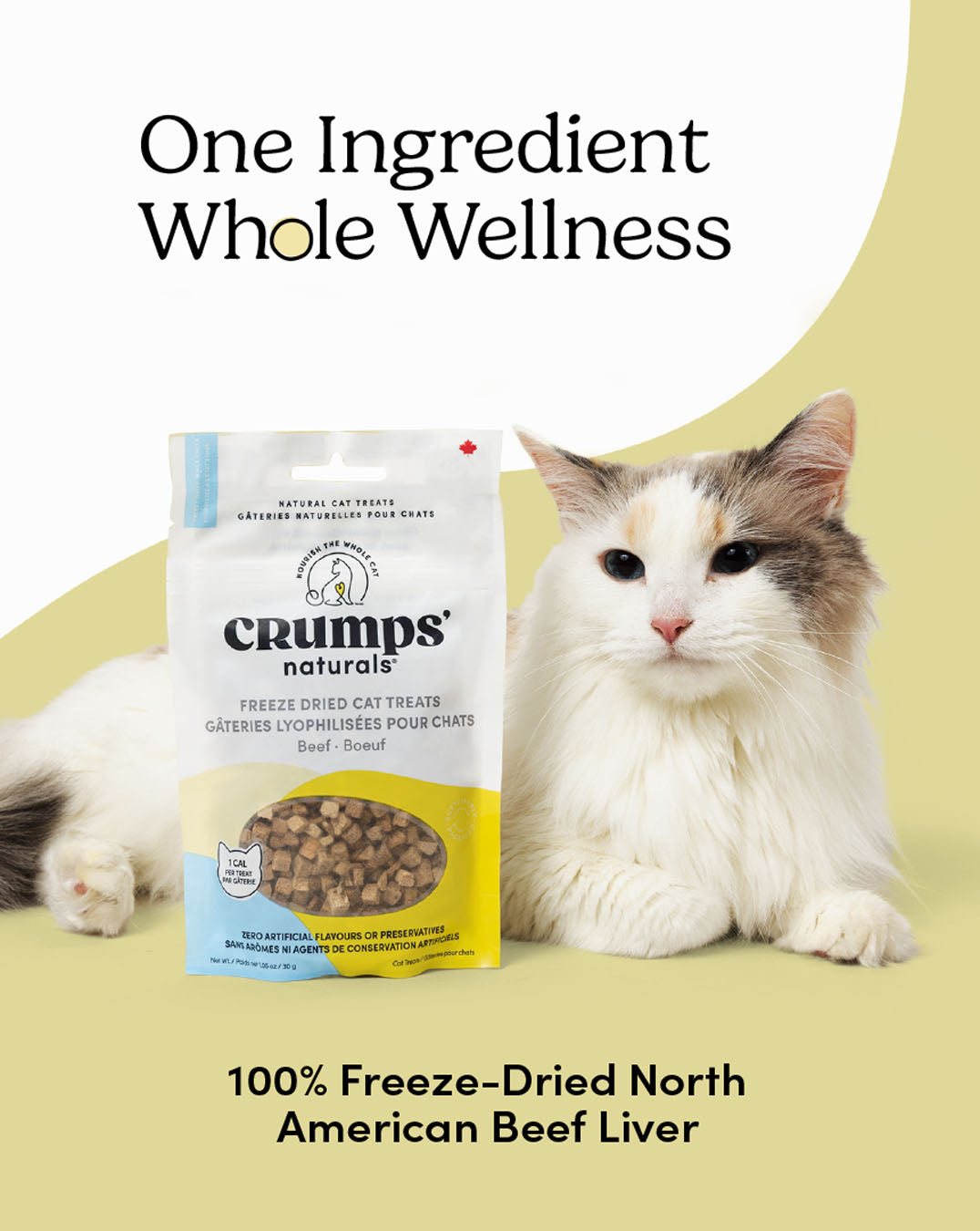 
                        
                          Freeze Dried Cat Treats Beef
                        
                      