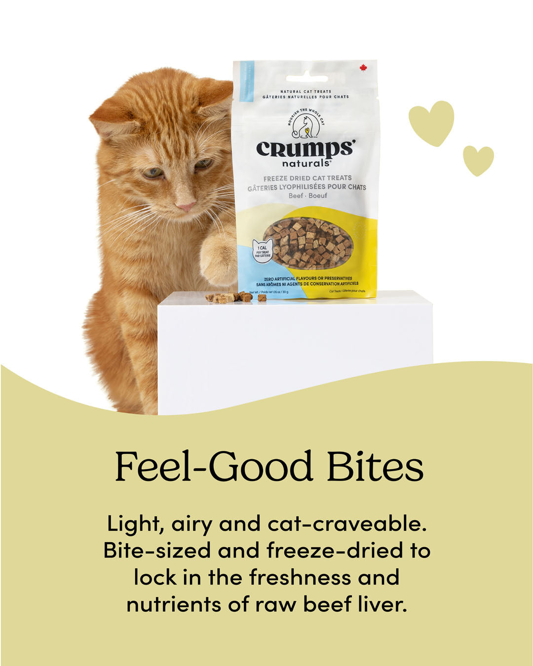 
                        
                          Freeze Dried Cat Treats Beef
                        
                      