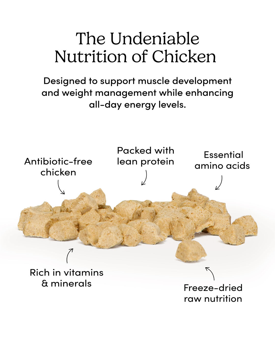 
                        
                          Freeze Dried Cat Treats Chicken
                        
                      