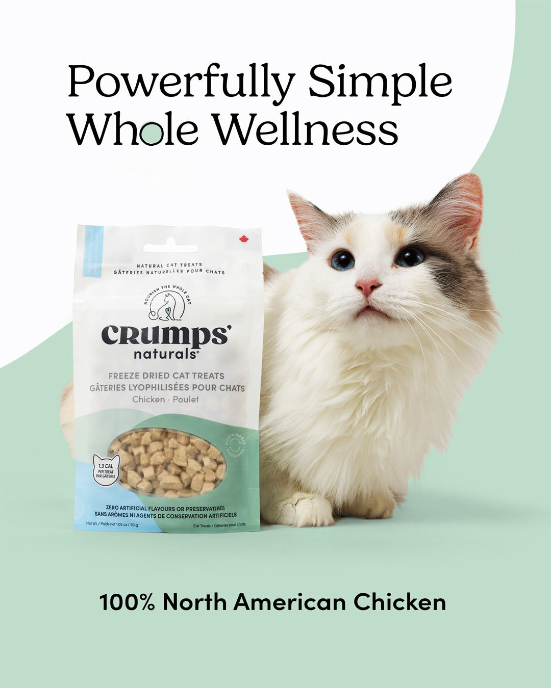 
                        
                          Freeze Dried Cat Treats Chicken
                        
                      