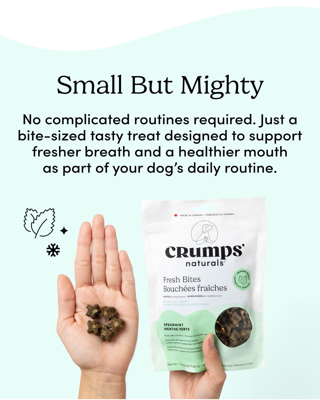 
                        
                          Fresh Bites Spearmint
                        
                      
