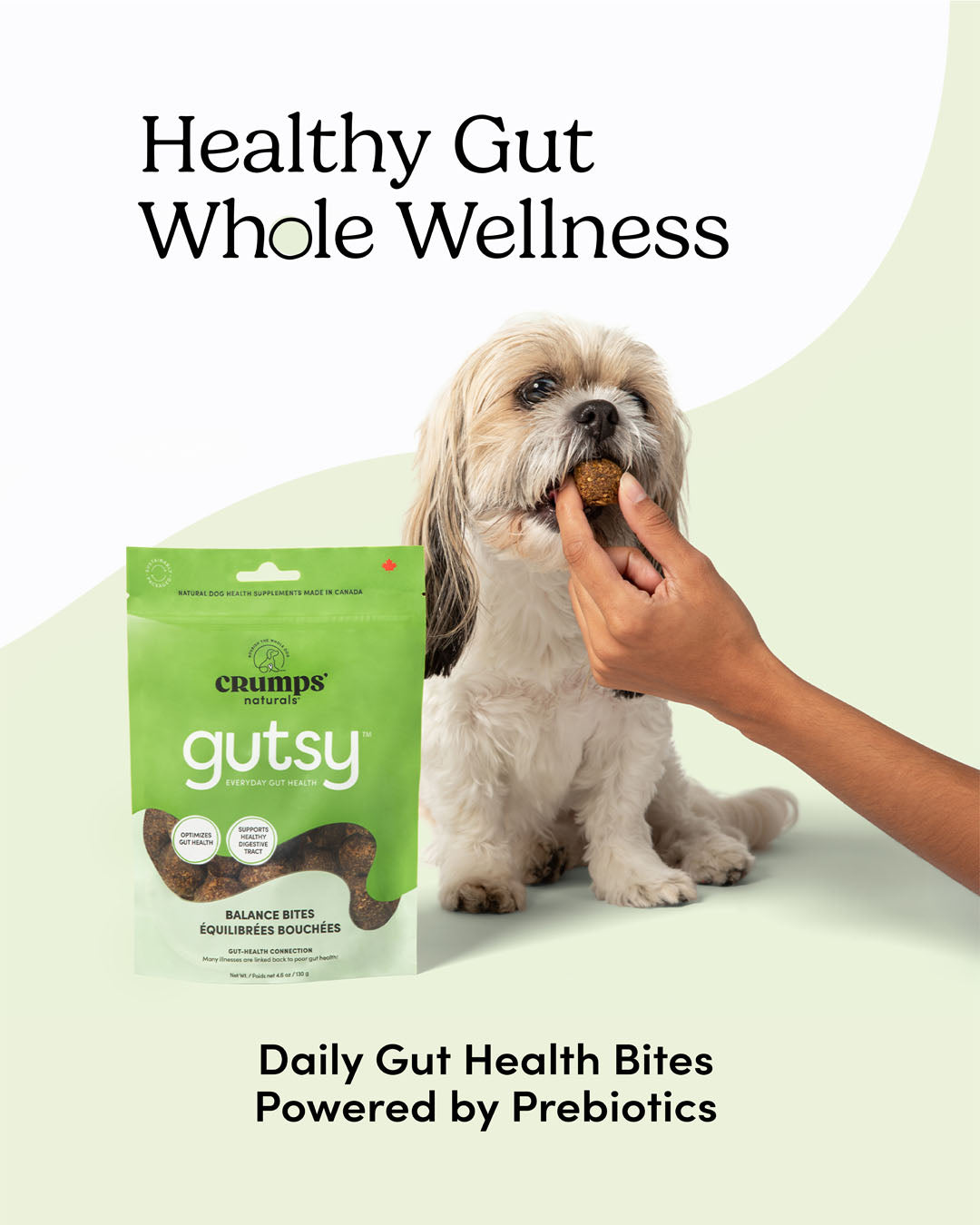 
                        
                          Gutsy Balance Bites
                        
                      