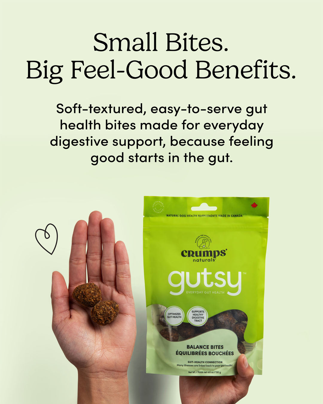 
                        
                          Gutsy Balance Bites
                        
                      