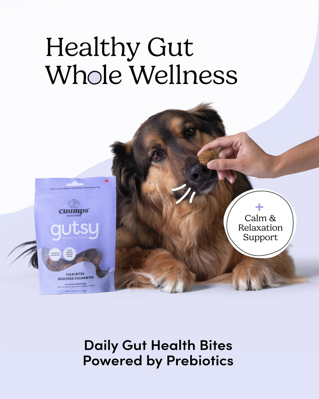 
                        
                          Gutsy Calm Bites
                        
                      