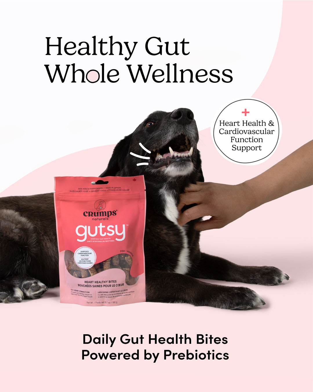
                        
                          Crumps Naturals Heart Healthy Bites 6.7oz
                        
                      