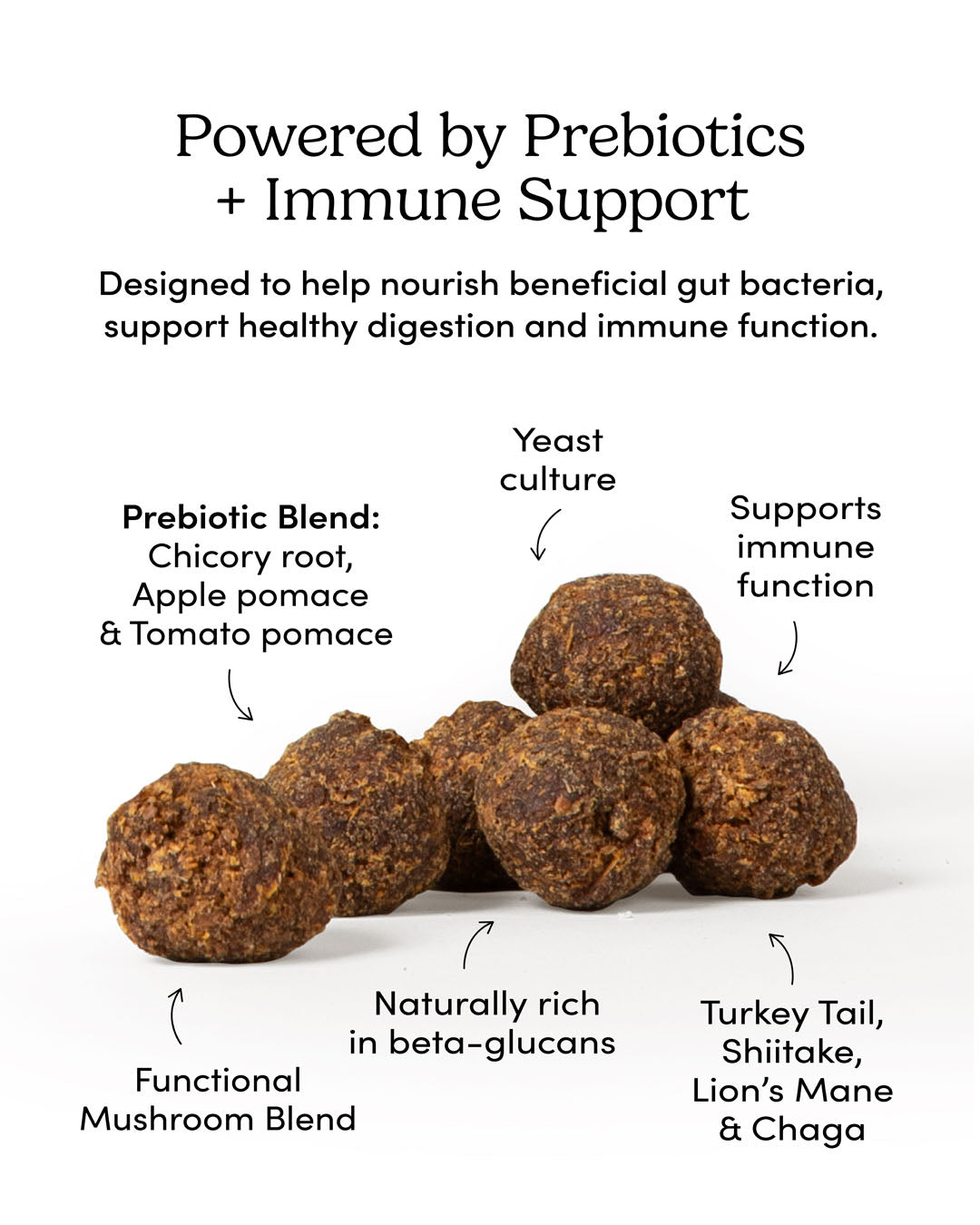 
                        
                          Gutsy Immune Bites
                        
                      