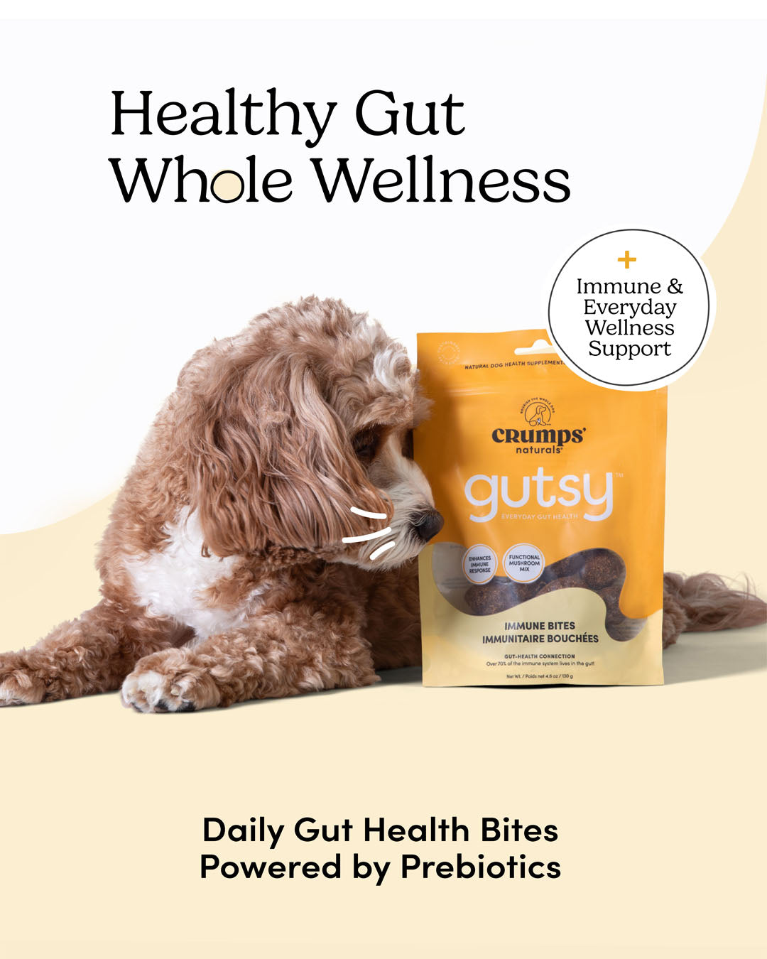 
                        
                          Gutsy Immune Bites
                        
                      