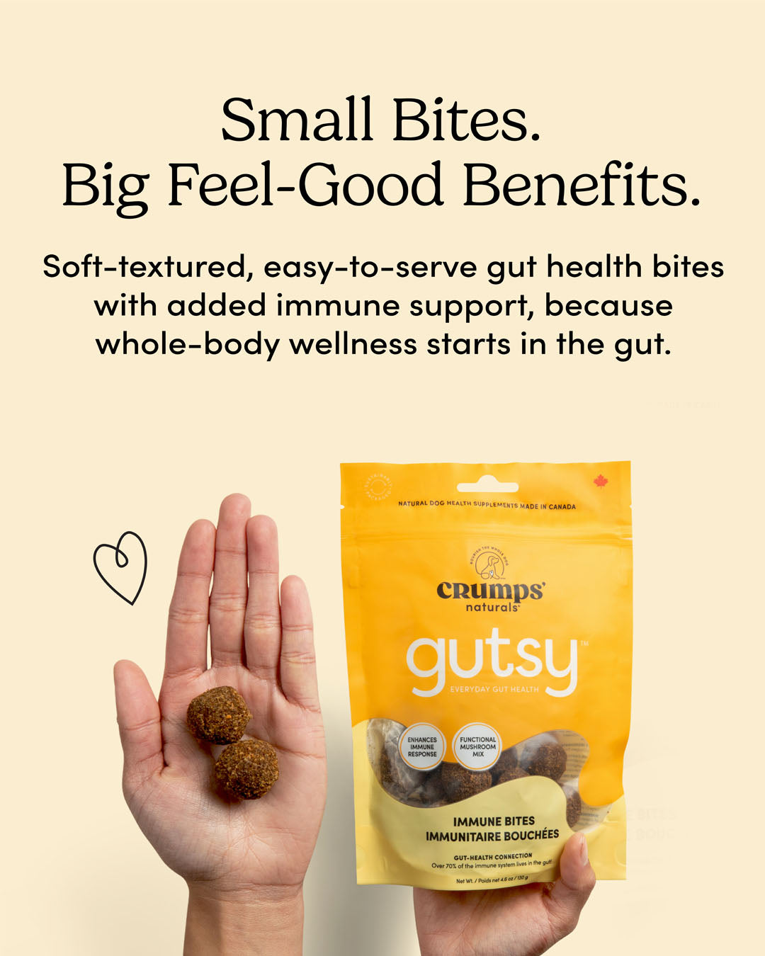 
                        
                          Gutsy Immune Bites
                        
                      