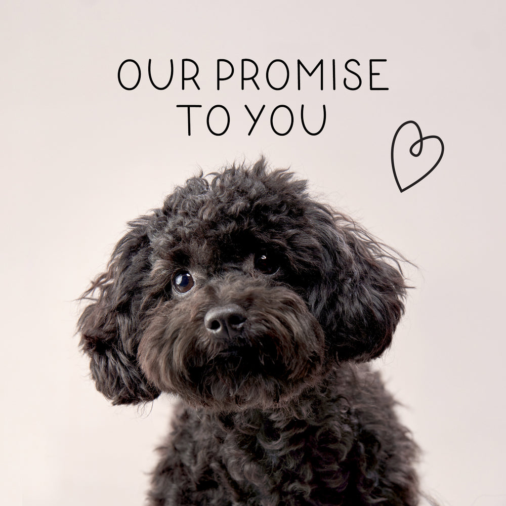 Our promise to you