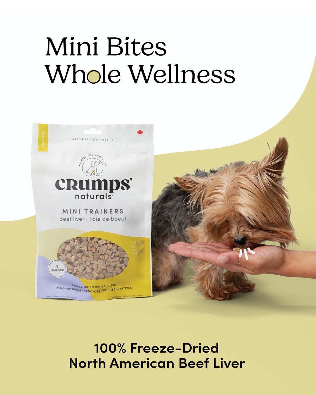 
                        
                          Mini Trainers Freeze-Dried Beef Liver
                        
                      