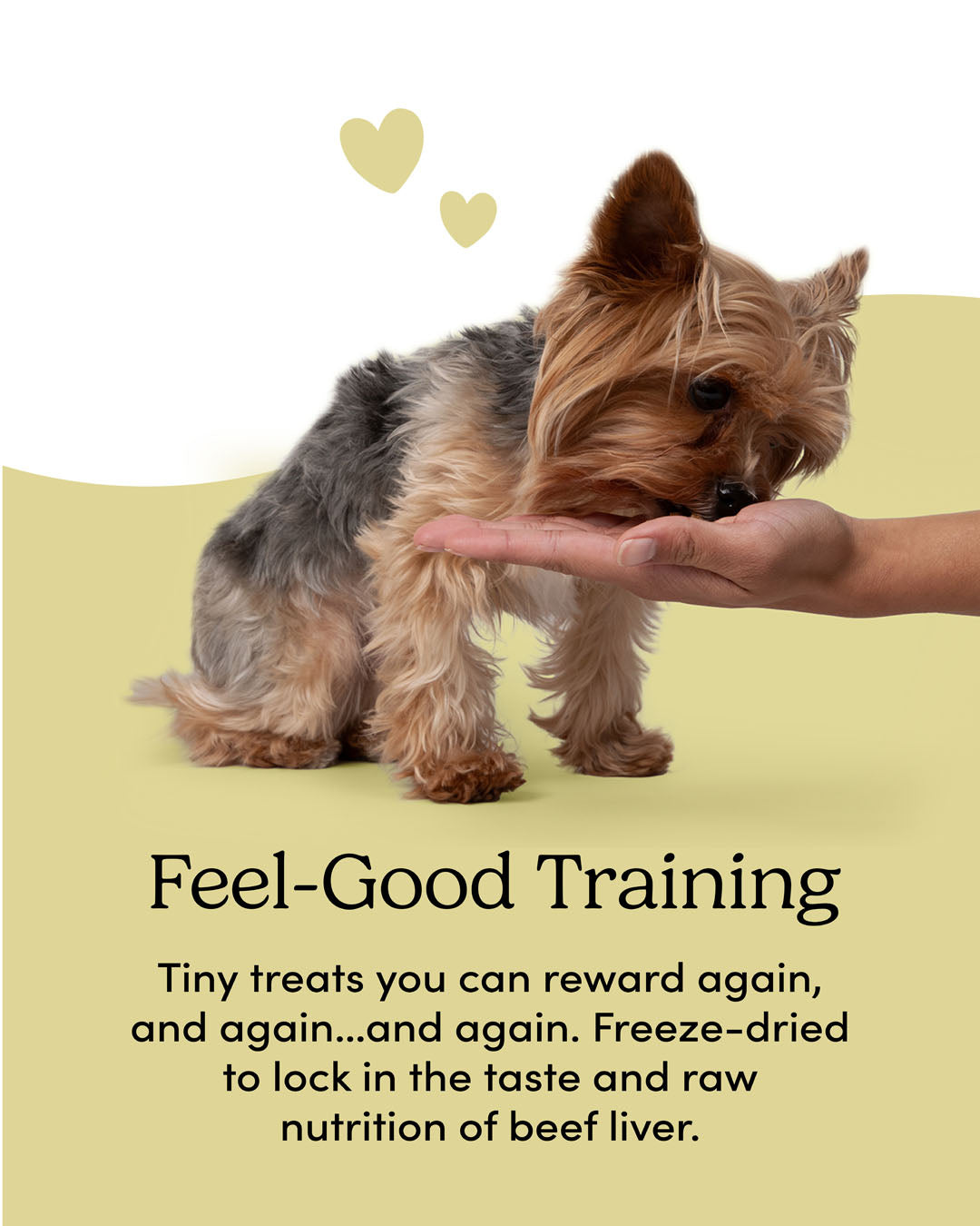 
                        
                          Mini Trainers Freeze-Dried Beef Liver
                        
                      