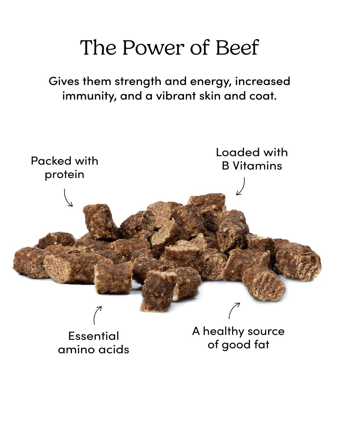 
                        
                          Semi Moist Beef Mini Trainers
                        
                      