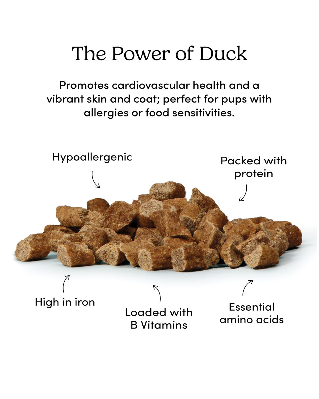 
                        
                          Semi Moist Duck Mini Trainers
                        
                      