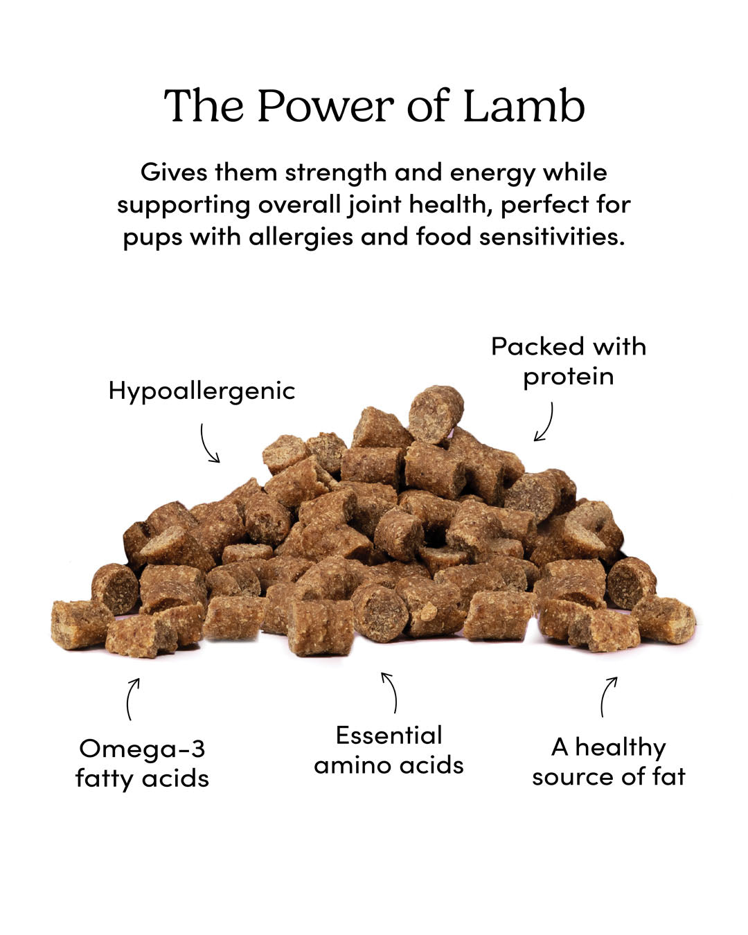 
                        
                          Semi Moist Lamb Mini Trainers
                        
                      