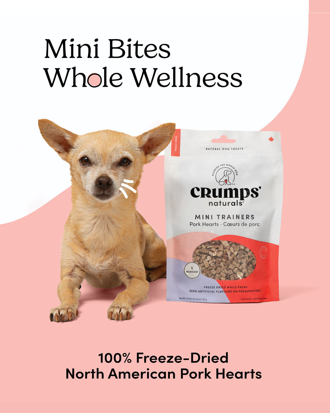 
                        
                          Mini Trainers Freeze Dried Pork Hearts
                        
                      